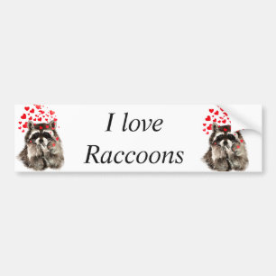 Autocollant De Voiture J'aime Raccoons Funny Raccoon souffler Baisers Amo