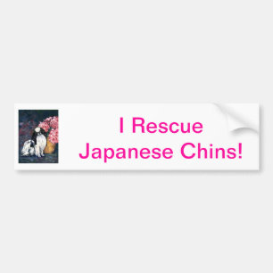 Autocollant De Voiture Japonais Chin