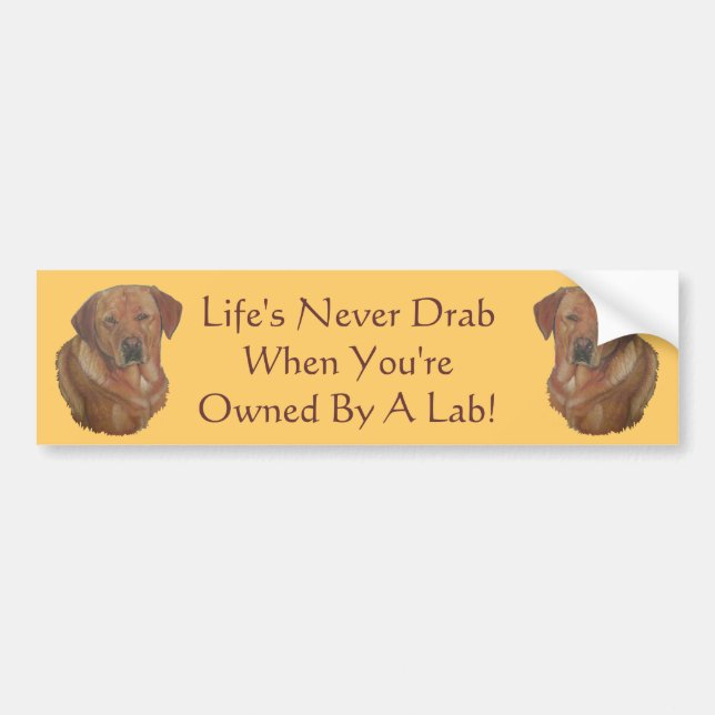 Autocollant De Voiture jaune labrador récupérateur chien portrait slogan  (Devant)