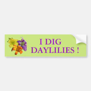 Autocollant De Voiture Je creuse des Daylilies