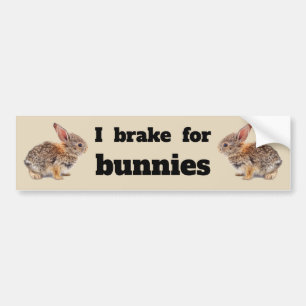 Autocollant De Voiture Je freine pour Bunnies