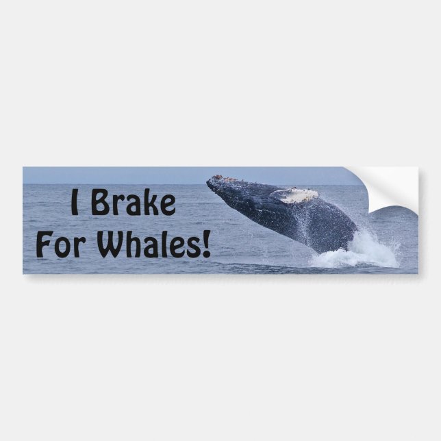 Autocollant De Voiture Je freine pour des baleines ! Adhésif pour (Devant)