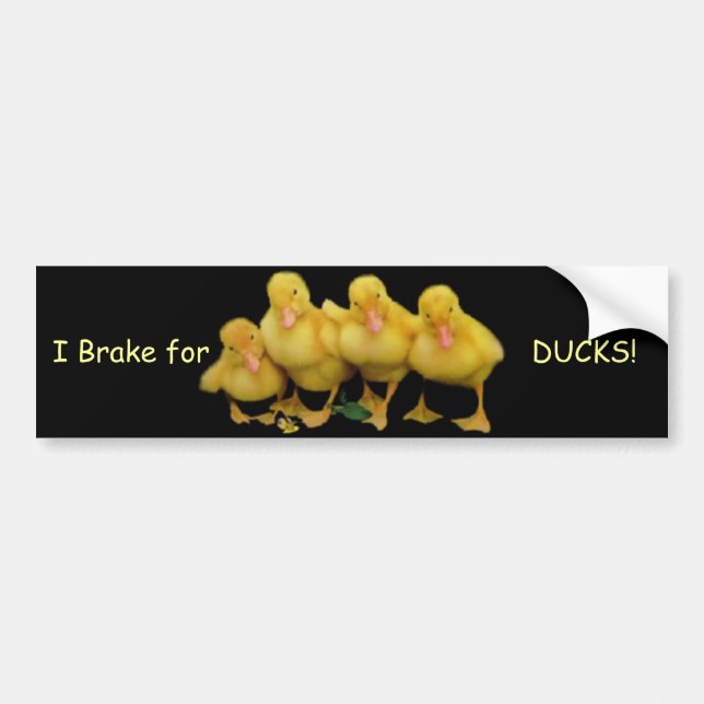 Autocollant De Voiture Je freine pour, des CANARDS ! adhésif pour (Devant)