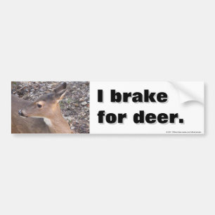 Autocollant De Voiture Je freine pour des cerfs communs