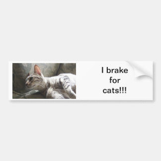 Autocollant De Voiture Je freine pour des chats