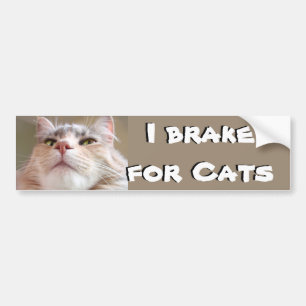 Autocollant De Voiture Je freine pour des chats