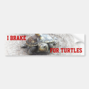Autocollant De Voiture Je freine pour des tortues