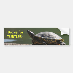 Autocollant De Voiture Je freine pour des TORTUES