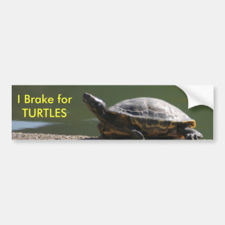 Autocollant De Voiture Je freine pour des TORTUES