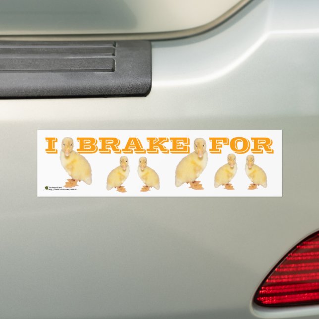 Autocollant De Voiture Je FREINE POUR Jaune Duckling Photo Personnalisée (En voiture)
