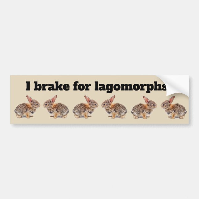 Autocollant De Voiture Je freine pour le lapin de lagomorphes (Devant)