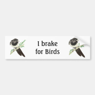 Autocollant De Voiture Je freine pour les oiseaux, Aquarelle Magpie pour