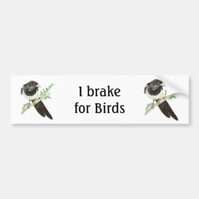 Autocollant De Voiture Je freine pour les oiseaux, Aquarelle Magpie pour  (Devant)