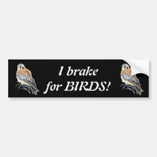 Autocollant De Voiture Je freine pour les oiseaux crécerelle ou