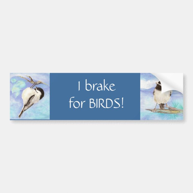 Autocollant De Voiture Je freine pour les oiseaux - Oiseaux (Devant)