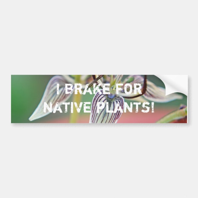 Autocollant De Voiture Je freine pour les plantes natifs - Bumper sticker (Devant)