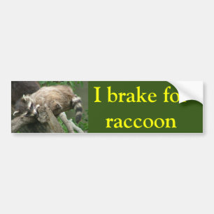 Autocollant De Voiture Je freine pour raccoon