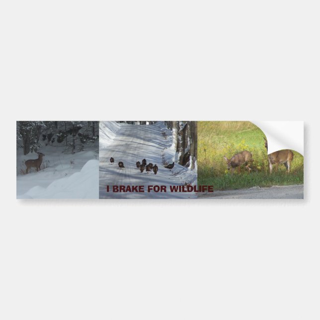 AUTOCOLLANT DE VOITURE JE ME CASSE POUR LA FAUNE (Devant)