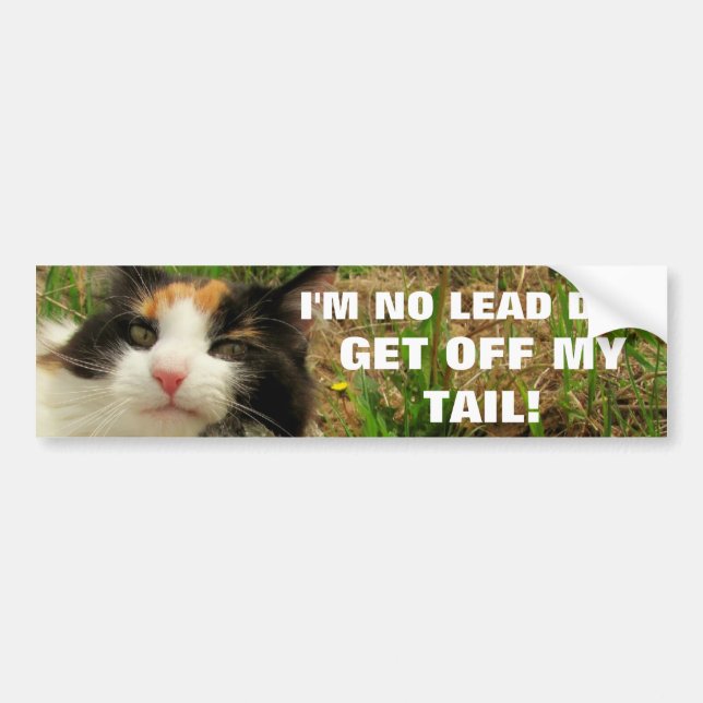 Autocollant De Voiture Je ne suis aucun chat Meme de chien d'avance (Devant)