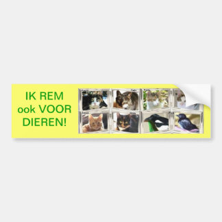 AUTOCOLLANT DE VOITURE JE REPRÉSENTE ÉGALEMENT POUR LES ANIMAUX.