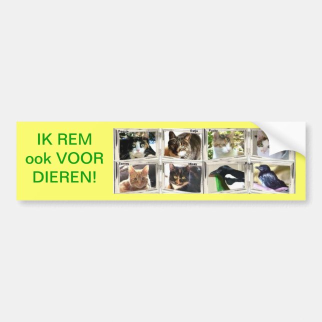 AUTOCOLLANT DE VOITURE JE REPRÉSENTE ÉGALEMENT POUR LES ANIMAUX. (Devant)
