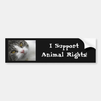 Autocollant De Voiture Je soutiens les droits des animaux Bumpersticker