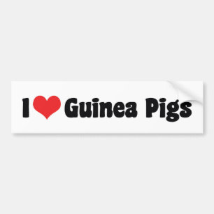 Autocollant De Voiture Je suis amoureux des cochons d'Inde à coeur