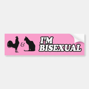 Autocollant De Voiture JE SUIS BISEXUEL -.png