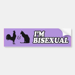 Autocollant De Voiture JE SUIS BISEXUEL -.png