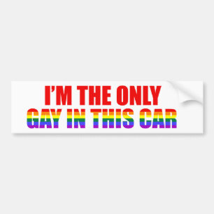 Autocollant De Voiture Je suis le seul gay dans cette voiture LGBT drôle 