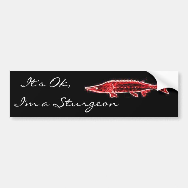 Autocollant De Voiture Je suis un esturgeon. (Devant)