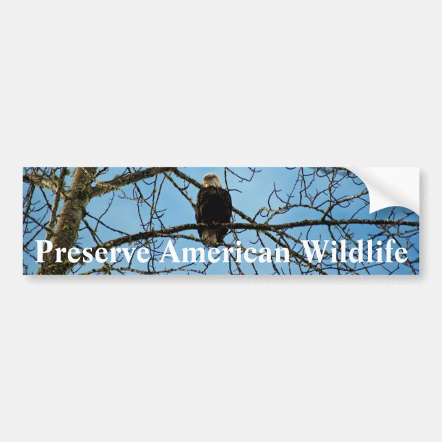 Autocollant De Voiture Je vous regarde (Devant)