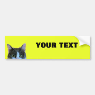 Autocollant De Voiture Jetant un coup d'oeil le chat votre texte "folio