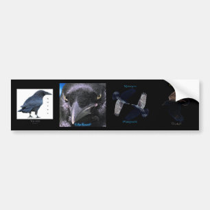 Autocollant De Voiture JEU DE RAVEN NOIR III multi-autocollants