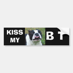 AUTOCOLLANT DE VOITURE KISSMY, B T