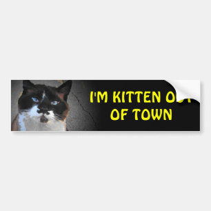 Autocollant De Voiture Kitten hors ville Vacances RV