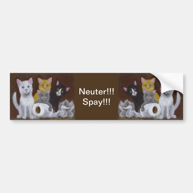 Autocollant De Voiture Kittens Neuter Spay (Devant)