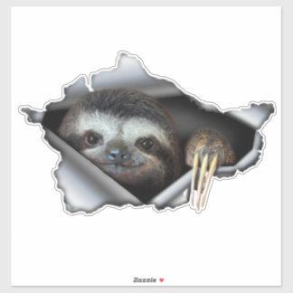 Autocollant de voiture Koala autocollant Animaux a