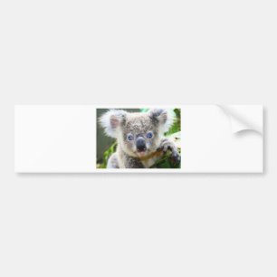 Autocollant De Voiture Koala Bears