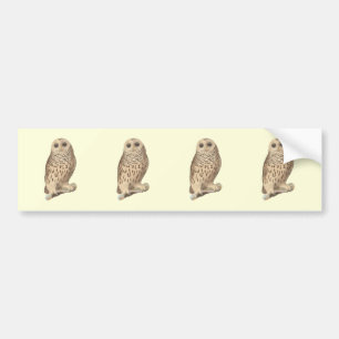Autocollant De Voiture La Chouette barrée (Ulula nebulosa) Les oiseaux NY