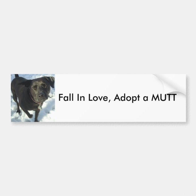 Autocollant De Voiture La chute dans l'amour, adoptent un CHIEN (Devant)