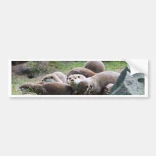 Autocollant De Voiture La famille de loutre