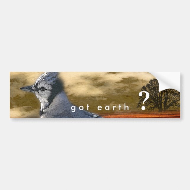 Autocollant De Voiture la terre obtenue ? (Devant)