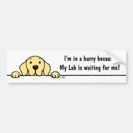 Autocollant De Voiture Labrador jaune vous observant adhésif pour