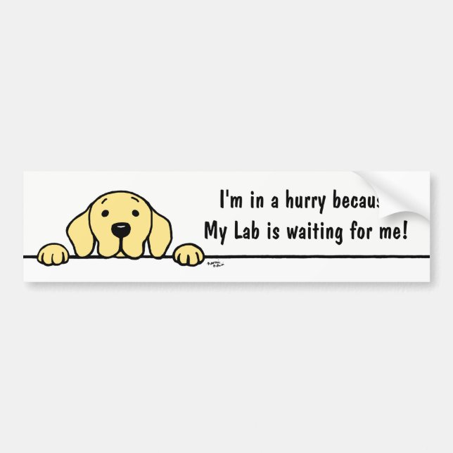 Autocollant De Voiture Labrador jaune vous observant adhésif pour (Devant)