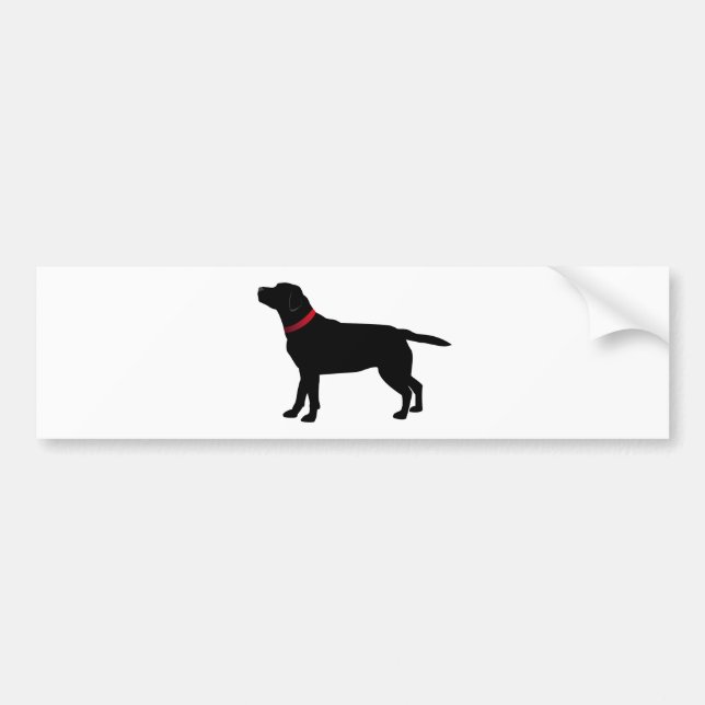 Autocollant De Voiture Labrador noir avec le collier rouge (Devant)