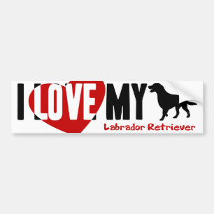 Autocollant De Voiture Labrador retriever