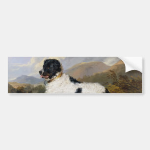 Autocollant De Voiture Landseer Newfoundland Dog (animal noir et blanc)