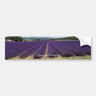 Autocollant De Voiture Lavande de la Provence