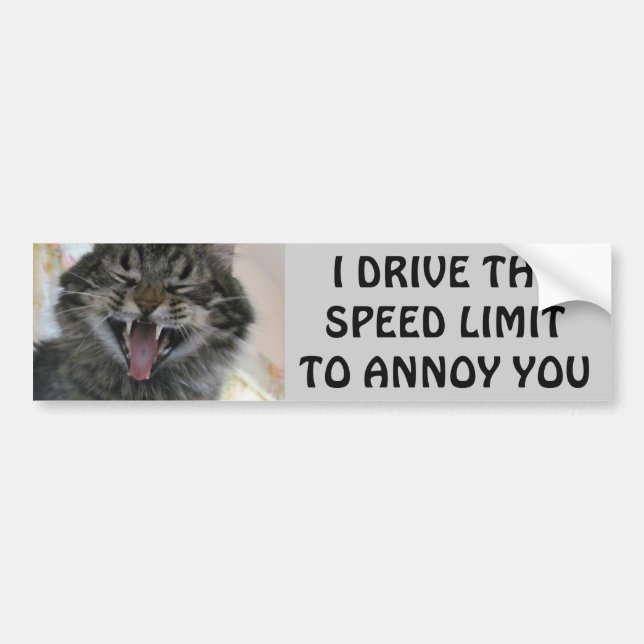 Autocollant De Voiture Le chat de butoir ennuie des chauffards Meme (Devant)